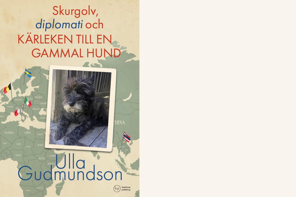 Insiktsfulla betraktelser