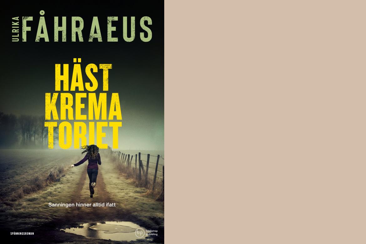 Vad händer på Stora Dimåkra?