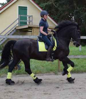 Marianne Kristoffersson (översättare)