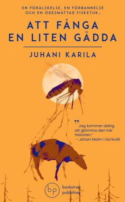 Att fånga en liten gädda (pocket)