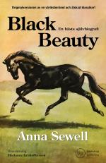 Black Beauty Black Beauty